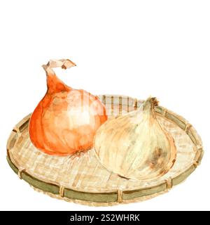 Aquarelle deux oignons sur passoire New Onions Vegetable Material Banque D'Images