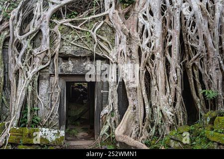 Porte célèbre, Temple Ta Prohm, Angkor, Siem Reap, Cambodge Banque D'Images