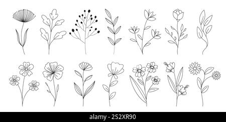 Ensemble de cliparts de dessin de contour de fleurs. Fleur de printemps en noir et blanc lignes dessinées à la main plat clip art éléments décoration. Illustration vectorielle florale Illustration de Vecteur