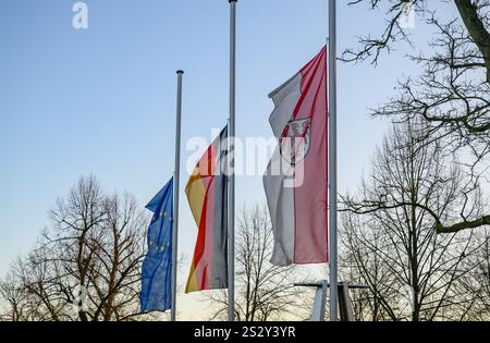 08 janvier 2025, Brandebourg, Francfort (Oder) : les drapeaux de l'Union européenne (G-d), de l'Allemagne et de l'État du Brandebourg flottent en Berne devant le quartier général de la police est pour marquer la mort d'un policier saxon dans l'exercice de ses fonctions. Un policier de Dresde a été capturé et tué le 7 janvier 2025 à Lauchhammer dans le Brandebourg lors d'une chasse à l'homme pour des voleurs de voitures. Photo : Patrick Pleul/dpa Banque D'Images