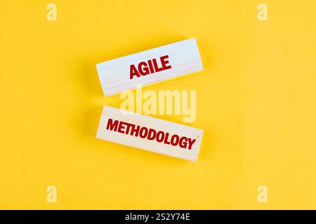 Deux blocs avec les mots Agile et méthodologie sont affichés en évidence sur un fond jaune vif, illustrant les concepts importants dans le projet M. Banque D'Images