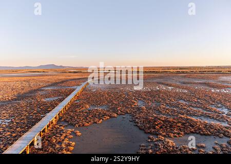 Vue depuis l'observatoire ornithologique du parc national du delta d'Evros, près d'Alexandroupolis et de la frontière turque, forêt de Dadia et zone humide protégée, coucher de soleil ou soleil Banque D'Images