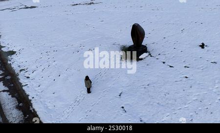 Capture d'écran tirée de PA vidéo de sculptures dans la neige au Yorkshire sculpture Park (YSP), à Wakefield, West Yorkshire. Des avertissements météorologiques pour la neige et la glace sont en vigueur dans une grande partie du Royaume-Uni après de graves inondations et la neige ont causé des perturbations dans les transports et des fermetures d'écoles. Date de la photo : mercredi 8 janvier 2025. Banque D'Images