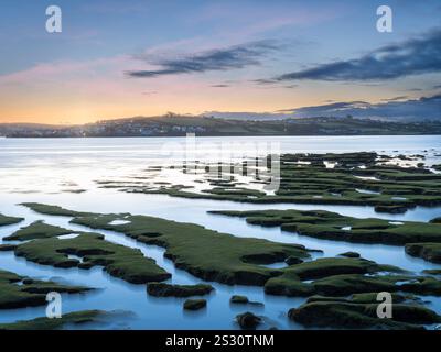 Northam Burrows près d'Appledore dans le nord du Devon - le soleil se lève par un matin très froid de la première semaine de janvier 2025. Connu sous le nom de Skern, l'Ever c Banque D'Images