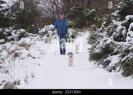 Colm O'Brien, de Tallaght, avec ses chiens Sally et Bowie qui descendent du Hell Fire club à Dublin, en prévision d'un avertissement de basse température Status Orange émis mercredi soir pour la plupart des comtés. La neige et les conditions inférieures à zéro ont déjà causé des conditions de conduite dangereuses et coupé l'électricité et l'eau à des milliers de maisons, avec des équipages de divers organismes travaillant pour aider les communautés bloquées. Date de la photo : mercredi 8 janvier 2025. Banque D'Images