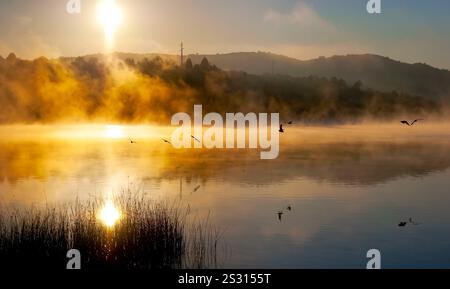 Les oiseaux noirs survolent la surface couverte de brume du lac Mladost, illuminée par le soleil levant à Veles, en Macédoine du Nord Banque D'Images