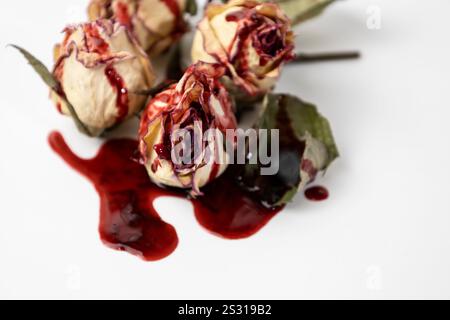 Un bourgeon mort sanglant de rose avec du sang sur un fond blanc. Fleurs sèches de la rose. Banque D'Images