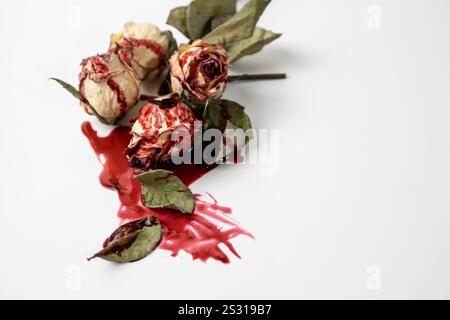 Un bourgeon mort sanglant de rose avec du sang sur un fond blanc. Fleurs sèches de la rose. Banque D'Images