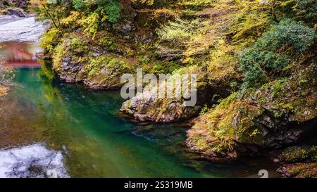 En automne, la gorge de Hikawa dévoile une vivacité de feuillage brillant le long des rives escarpées et escarpées de la rivière Tama dans la ville rurale d'OK Banque D'Images