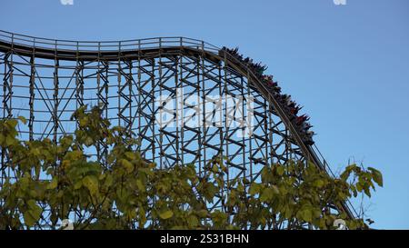 Les gens s'amusent sur la première grosse goutte des célèbres montagnes russes en bois intenses 'Colossos' du fabricant 'Intamin' au parc à thème 'Heide Park' Banque D'Images