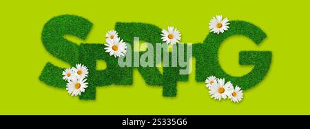 Lettrage de mot de texte de printemps avec effet de texture d'herbe verte de pelouse avec des fleurs de marguerites, isolé sur fond vert Banque D'Images