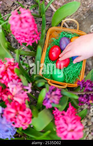 Chasse aux œufs de Pâques . oeufs dans un panier en fleurs de jacinthe dans un jardin printanier. Vue de dessus. Les mains des enfants en gros plan collectent les œufs et les mettent dans un panier. vacances Banque D'Images