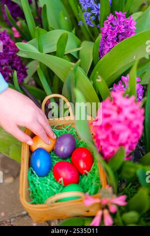 Tradition de Pâques. Chasse aux œufs de Pâques . Œufs roses et bleus dans un panier en fleurs de jacinthe dans un jardin printanier. Vue de dessus. Les mains des enfants en gros plan recueillent des œufs Banque D'Images