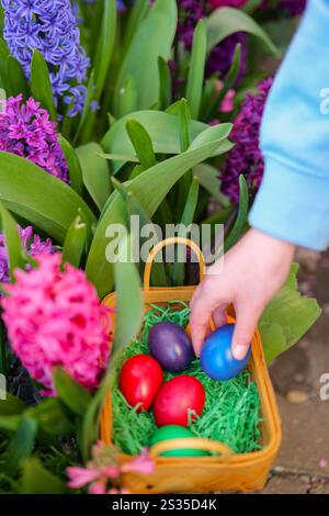 Chasse aux œufs de Pâques . Œufs de Pâques roses et bleus dans un panier en fleurs de jacinthe dans un jardin printanier. Vue de dessus. Les mains des enfants gros plan recueillir les œufs et mettre dans un Banque D'Images