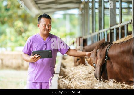 Jeune homme fermier asiatique avec ordinateur tablette pc et vaches dans l'étable de la ferme laitière. Industrie agricole, agriculture, personnes, technologie et mari animal Banque D'Images