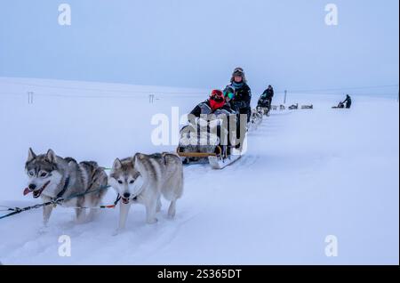 Un groupe de cavaliers conduit par un guide sont vus en traîneau sur un traîneau à chiens lors d'une excursion sur une toundra située dans le Husavik. Les promenades en traîneau à chiens offrent une expérience vraiment remarquable pour explorer les paysages hivernaux de la partie nord du pays. En utilisant principalement des Huskies sibériens formés, connus pour leur résistance au froid et leur capacité à parcourir de longues distances, les visiteurs peuvent profiter d'une balade palpitante à travers la toundra enneigée. Animées par des experts locaux, ces excursions permettent non seulement aux voyageurs d’admirer la beauté naturelle de la région, mais aussi d’interagir avec les chiens, en apprenant plus sur leur dressage Banque D'Images