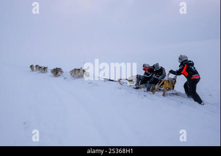 Un groupe de cavaliers conduit par un guide sont vus en traîneau sur un traîneau à chiens lors d'une excursion sur une toundra située dans le Husavik. Les promenades en traîneau à chiens offrent une expérience vraiment remarquable pour explorer les paysages hivernaux de la partie nord du pays. En utilisant principalement des Huskies sibériens formés, connus pour leur résistance au froid et leur capacité à parcourir de longues distances, les visiteurs peuvent profiter d'une balade palpitante à travers la toundra enneigée. Animées par des experts locaux, ces excursions permettent non seulement aux voyageurs d’admirer la beauté naturelle de la région, mais aussi d’interagir avec les chiens, en apprenant plus sur leur dressage Banque D'Images