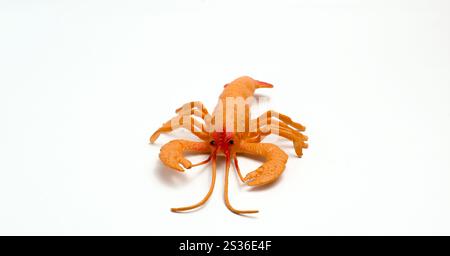 Un jouet d'enfant en forme de crevette sur Un fond blanc isolé et règle des tiers composition photo Banque D'Images