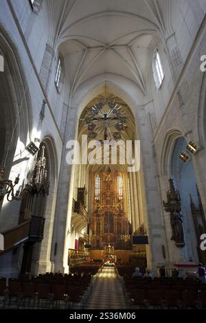 Église Sainte-Catherine à Cracovie vue intérieure Banque D'Images