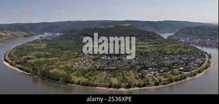 La grande arche du Rhin vue de Gedeonseck près de Boppard, Rhénanie-Palatinat, Allemagne Boppard, Allemagne, Europe Banque D'Images