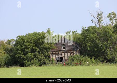ferme rurale abandonnée progressivement engloutie dans la forêt et l'herbe Banque D'Images