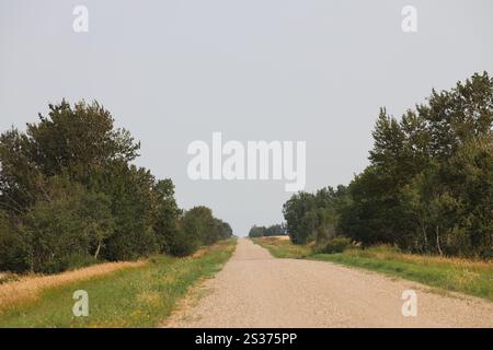 la route agricole rurale de gravier étroite passe entre des peuplements denses d'arbres et la forêt Banque D'Images