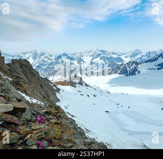 Vue sur la montagne depuis la station supérieure Karlesjoch bahn (3108m., près de Kaunertal Gletscher à la frontière Autriche-Italie) avec des fleurs alp au-dessus du téléski Banque D'Images