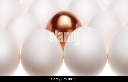 un oeuf doré pond parmi les oeufs blancs communs isolés sur fond blanc. un oeuf doré pond parmi les oeufs blancs communs Banque D'Images