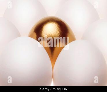 un oeuf doré pond parmi les oeufs blancs communs isolés sur un fond blanc. un oeuf doré pond parmi les oeufs blancs communs Banque D'Images