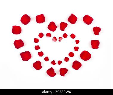 beau coeur de pétales de rose rouge isolé sur blanc. coeur de pétales de rose rouge Banque D'Images