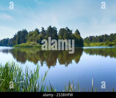 Rushy d'été avec vue sur le lac et petit village sur l'autre rive Banque D'Images
