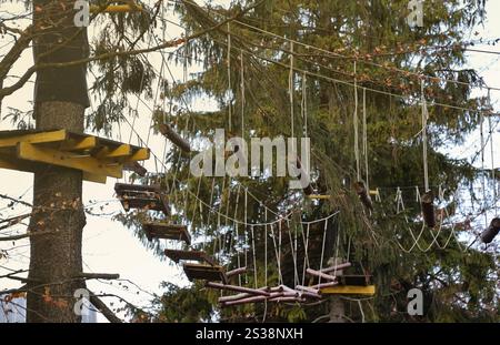 Pont de corde en parc aventure au sommet des arbres pour l'accrobranche et le sport, arborismo ou accrobranche cours de cordes, tyroliennes parkour extérieur dans la forêt. Banque D'Images