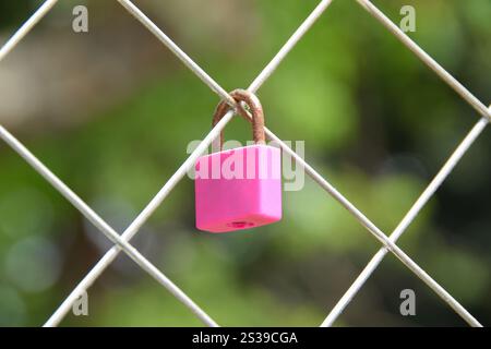 Gros plan Pink Love Padlock suspendu à la clôture. La clé de cadenas avec un symbole d'amour en forme de coeur. Un endroit où les gens peuvent exprimer leur amour. Banque D'Images