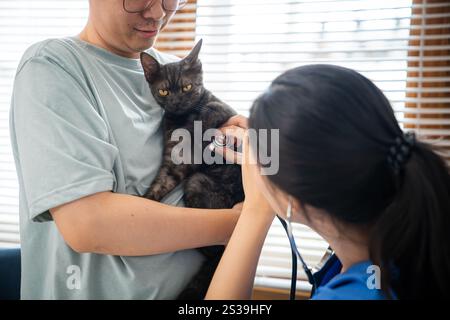 Vétérinaire professionnel aide le chat. chat propriétaire tenant l'animal sur les mains. Chat sur la table d'examen de la clinique vétérinaire. Soins vétérinaires. Médecin vétérinaire et Banque D'Images