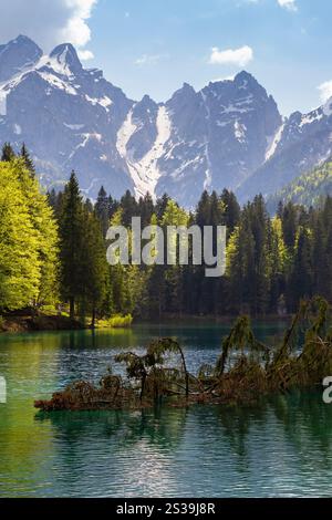 Vue sur le parc naturel supérieur des lacs Fusine, Tarvisio, province d'Udine, Friuli Venezia Giulia, Italie. Banque D'Images