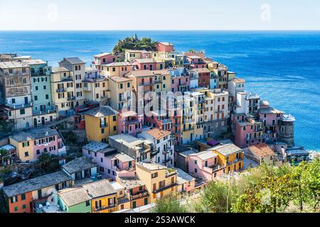 Vue surélevée sur les bâtiments colorés surplombant le port de Manarola dans le parc national des Cinque Terre dans la région Ligurie du nord-ouest de l'Italie Banque D'Images