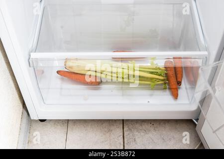 légumes fanés, carottes et céleri dans la boîte inférieure du réfrigérateur de cuisine à domicile Banque D'Images