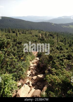 Le sentier de la route de montagne mène au paysage pittoresque de fond avec vue sentier de randonnée Hoverla dans les Carpates verticales Banque D'Images