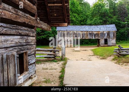Une rangée de vieilles cabanes en rondins se trouve dans un champ. Les cabines sont vieilles et altérées, avec des bardages en bois et des toits inclinés. La zone est entourée d'arbres, givin Banque D'Images