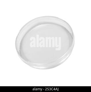 Petri isolated on white Banque D'Images