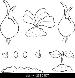 Jardin. Grand ensemble d'illustrations vectorielles de l'agriculture. Outils de jardin, collection de ménage. Cultiver des légumes. Plantes de serre de printemps, semis Illustration de Vecteur