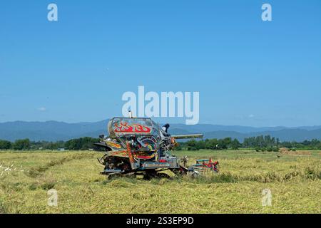 conducteur sur une machine de battage de couleurs vives travaille sur une petite ferme de riz dans la province de phetchabun, en thaïlande rurale Banque D'Images
