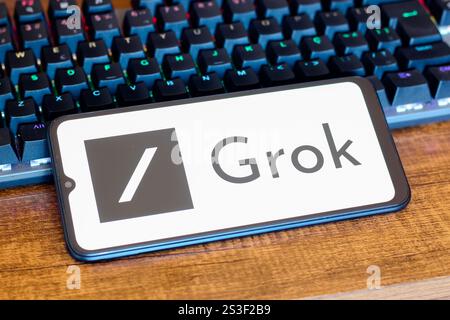 Dans cette illustration photo, le logo Grok est affiché sur l'écran d'un smartphone à côté d'un clavier. Banque D'Images