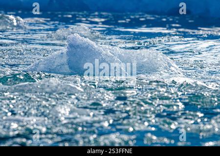 Gros plan de fragments glaciaires de glace flottant dans l'eau de mer très près d'un glacier qui draine la calotte glaciaire du Groenland. Evighedsfjorden, Groenland Banque D'Images