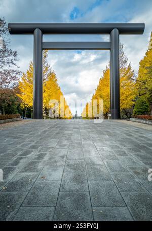 Entrée du sanctuaire Yasukuni avec de grandes portes Torii en bois et une avenue bordée d'arbres ginko Banque D'Images