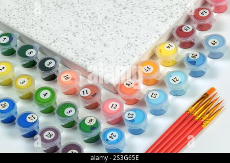 Un kit de peinture détaillé comprenant une toile numérotée, plusieurs conteneurs de peinture et des pinceaux à manche rouge. Loisirs créatifs. Banque D'Images