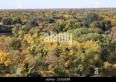 canopée d'arbre de la ville dans les couleurs d'automne en pleine splendeur vue d'en haut Banque D'Images