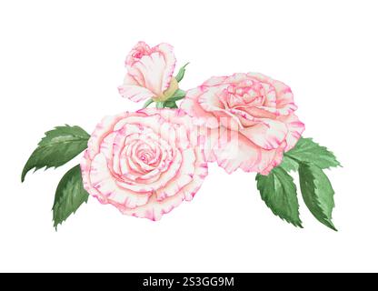 Roses aquarelles avec feuilles vertes, parfaites pour les invitations de mariage, les cartes de voeux, ou la papeterie romantique. Peint à la main et isolé sur un Banque D'Images