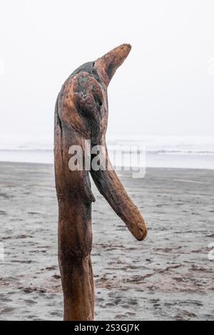 Zoomorphe de bois flotté le long de la rive de l'océan Pacifique dans le parc d'État Cape Disception, État de Washington, États-Unis Banque D'Images