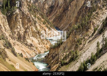 Vue rapprochée du Grand Canyon du Yellowstone et de la rivière vue depuis le point de vue Brink of the Lower Falls sur la rive nord Banque D'Images